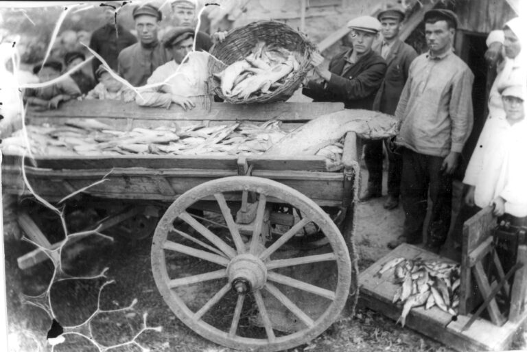 Wurzel und Wirkung des Holodomor und seine offizielle Anerkennung